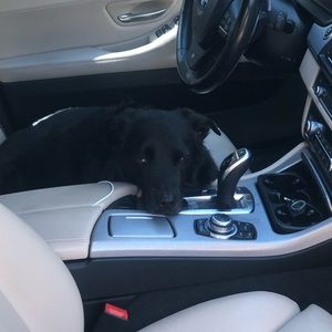 Meet your Posher, Juan